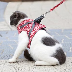 Harnais Ajustable Premium pour Chat